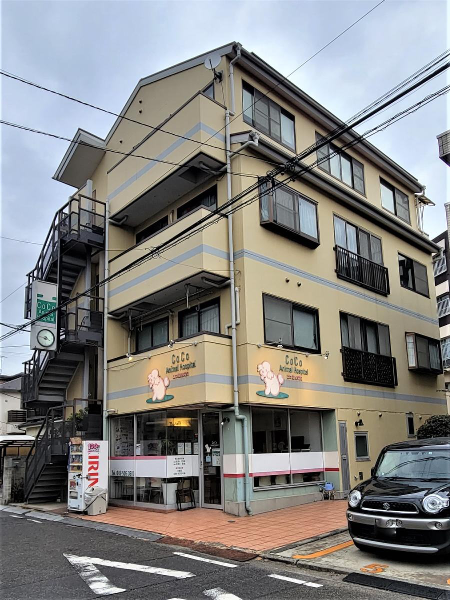 活動歴および当時の関連ビジュアル記録