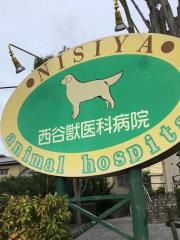 西谷獣医科病院