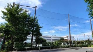 新鶴見小学校