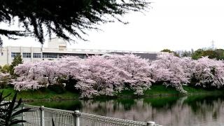 坂出市立坂出中学校