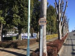 「川鶴笠幡公園」バス停留所