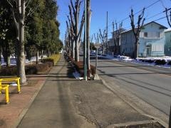 「川鶴笠幡公園」バス停留所
