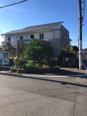 みかんの樹松が丘