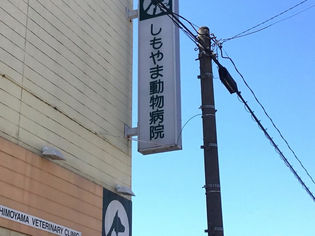 投稿写真4