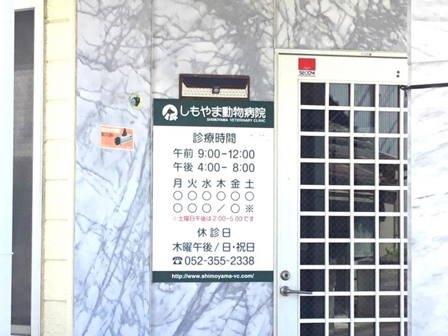 投稿写真3