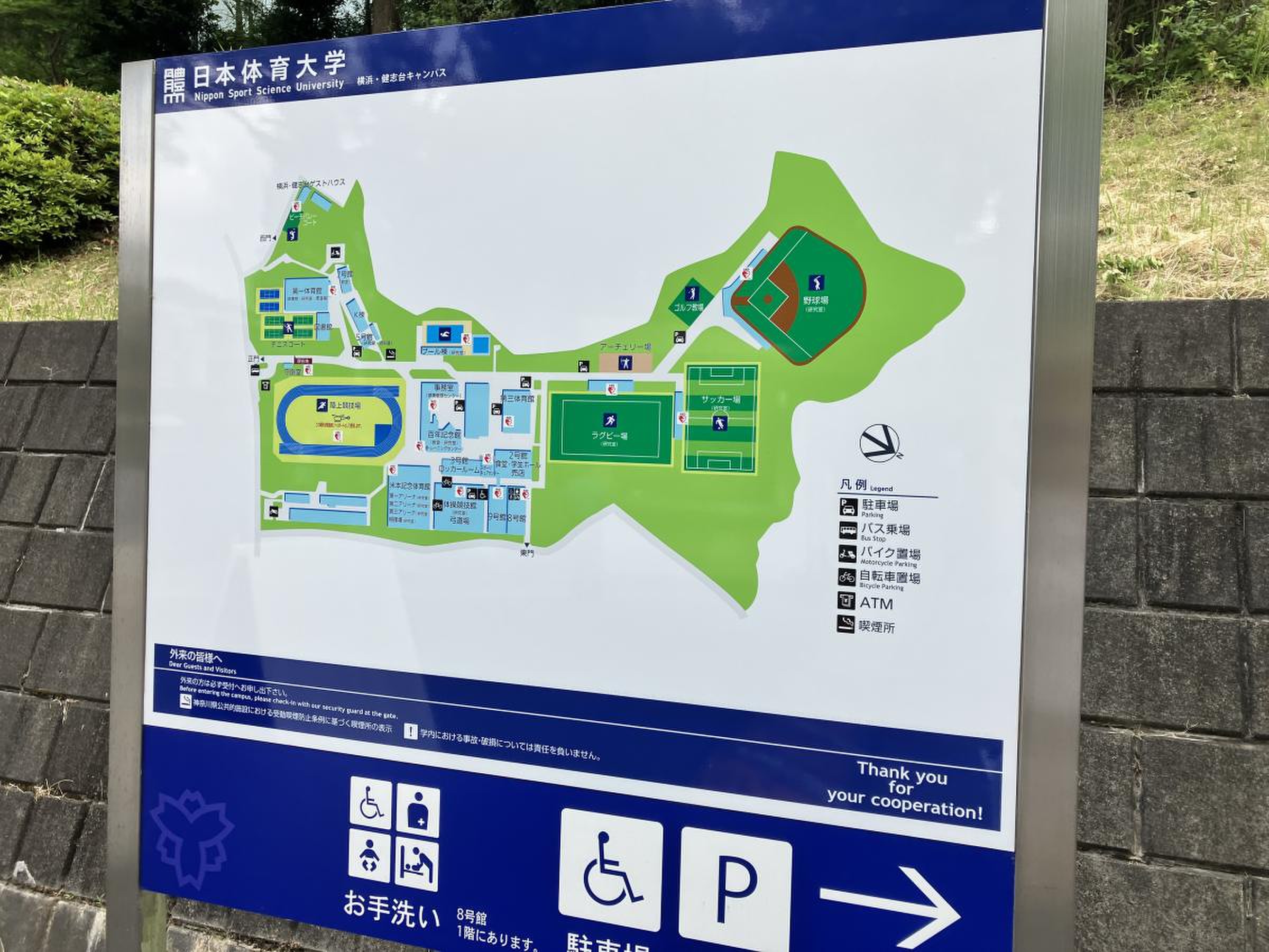 日本 体育 大学 横浜 健志 台 キャンパス