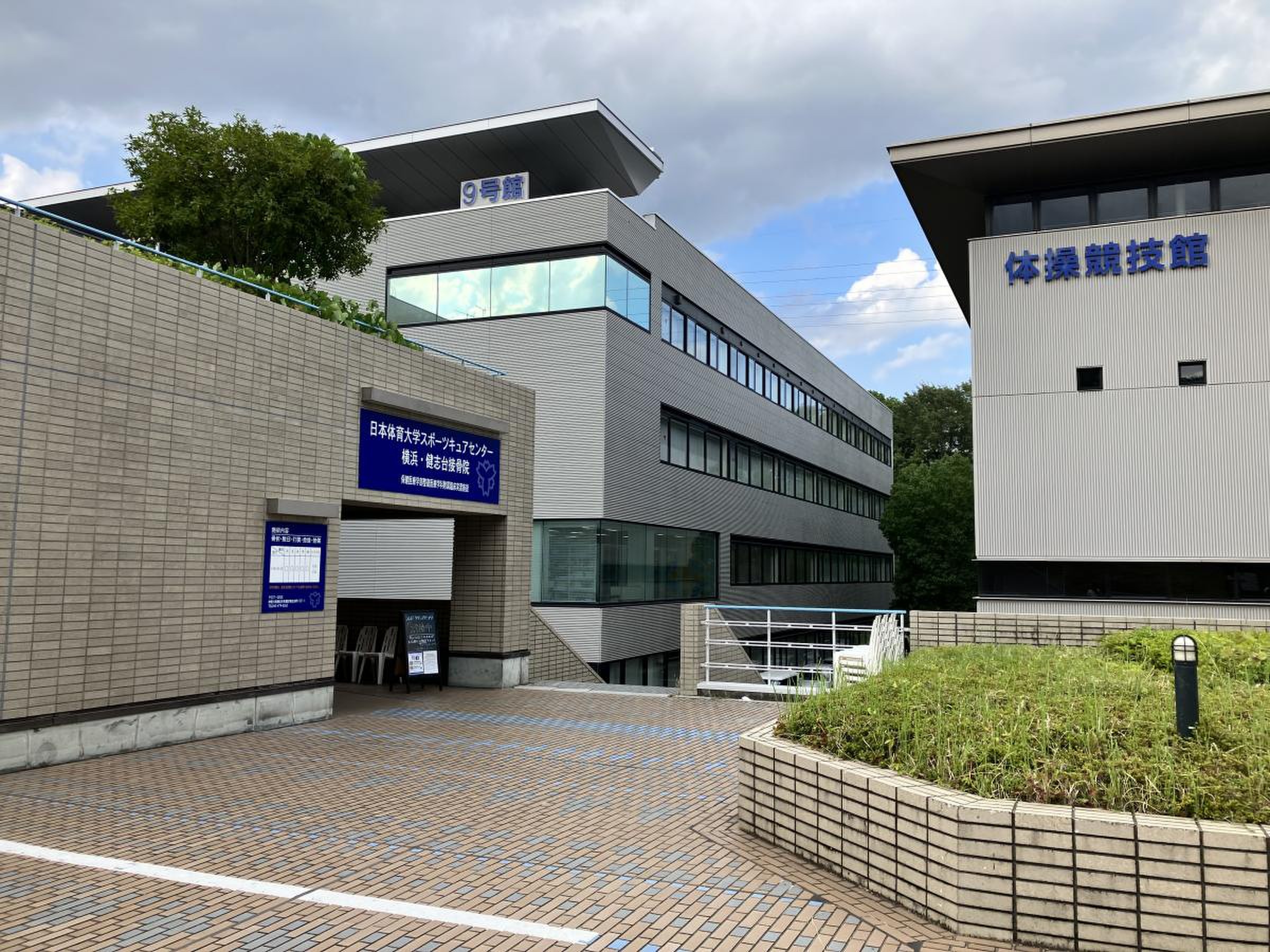 日本 体育 大学 横浜 健志 台 キャンパス