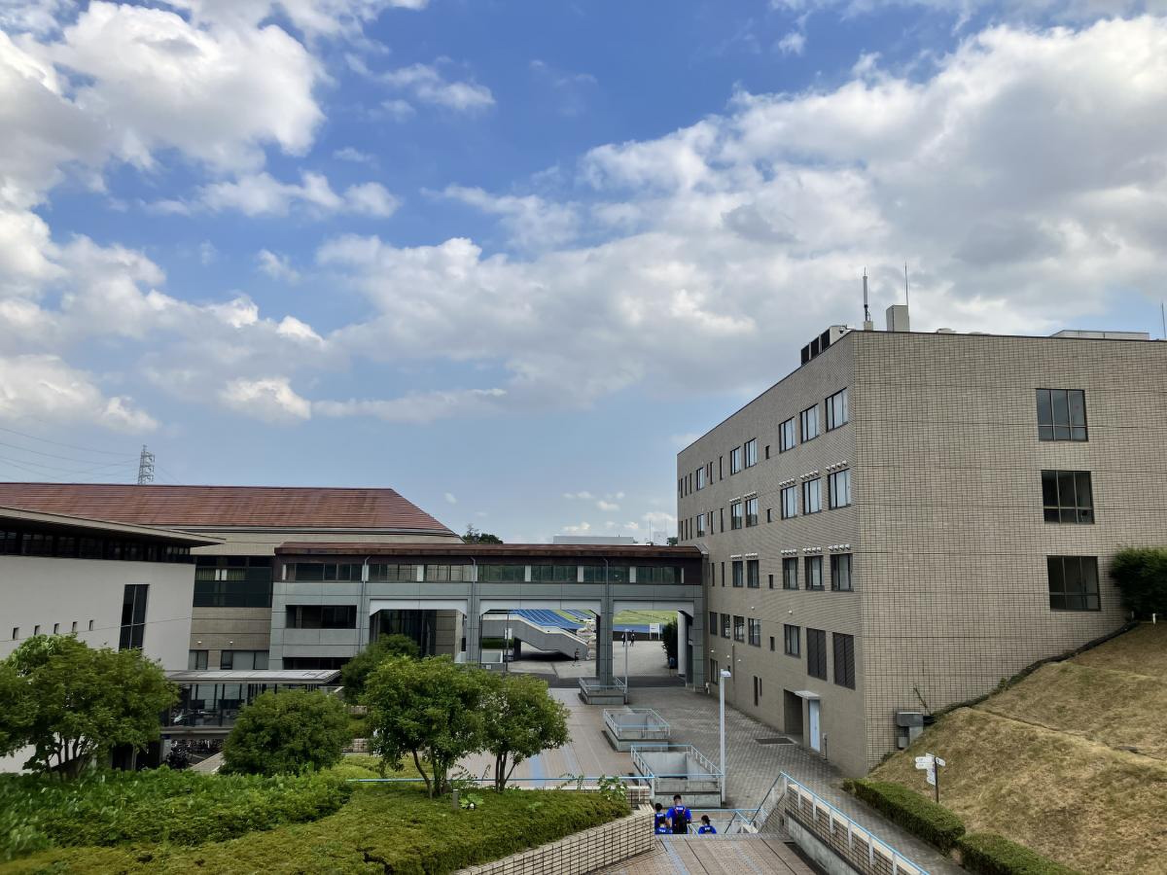 日本 体育 大学 横浜 健志 台 キャンパス