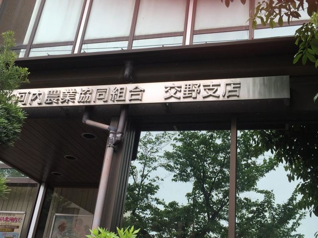 投稿写真3