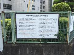橿原市立八木中学校