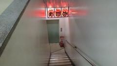 真寿司
