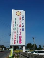 さくら幼稚園