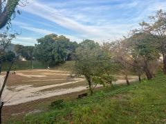 黒野城跡公園