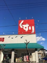 スギ薬局　水野店
