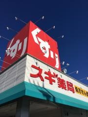スギ薬局　水野店