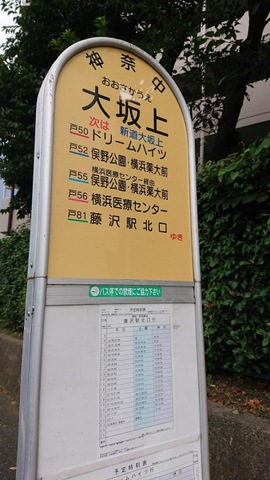 投稿写真7