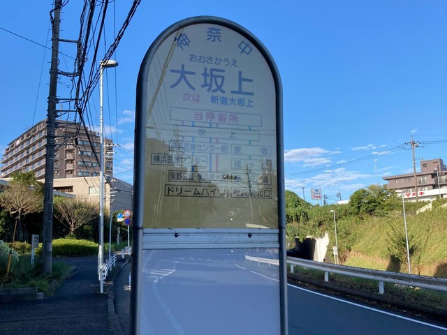 投稿写真4