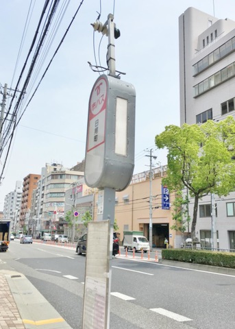 投稿写真1
