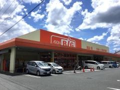 ザ・ビッグ鳥栖蔵上店