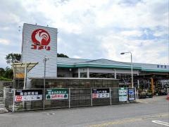 コメリハード＆グリーン　浅井店