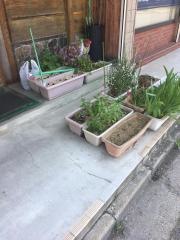 小料理千草