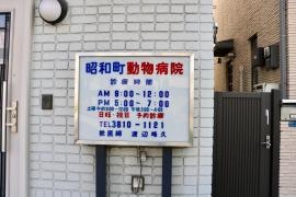 昭和町動物病院