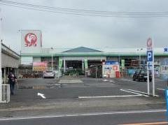 コメリハード＆グリーン　総和店