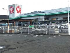 コメリハード＆グリーン　総和店