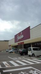原信西城店