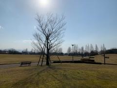 富山市富山南総合公園サッカー場