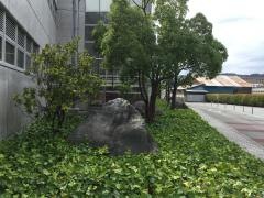 山梨学院大学附属小学校