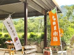 右田果樹園