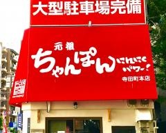ちゃんぽんにんにくパワー寺田町店