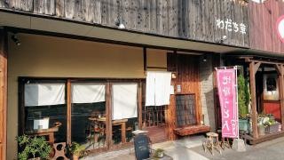 地粉うどん店わだち草