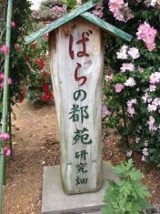 ばらの都苑 研究畑