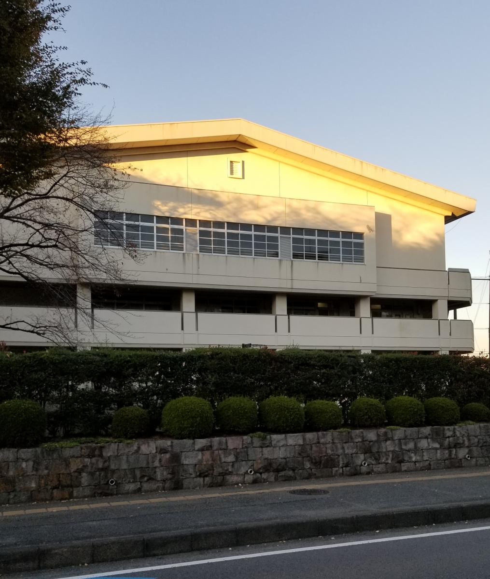 相模原 中等 教育 学校