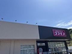 ドラッグストアコスモス海陽店