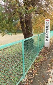新井田小学校