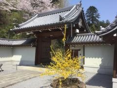 寶樹院大山寺