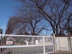 武蔵野大学附属幼稚園