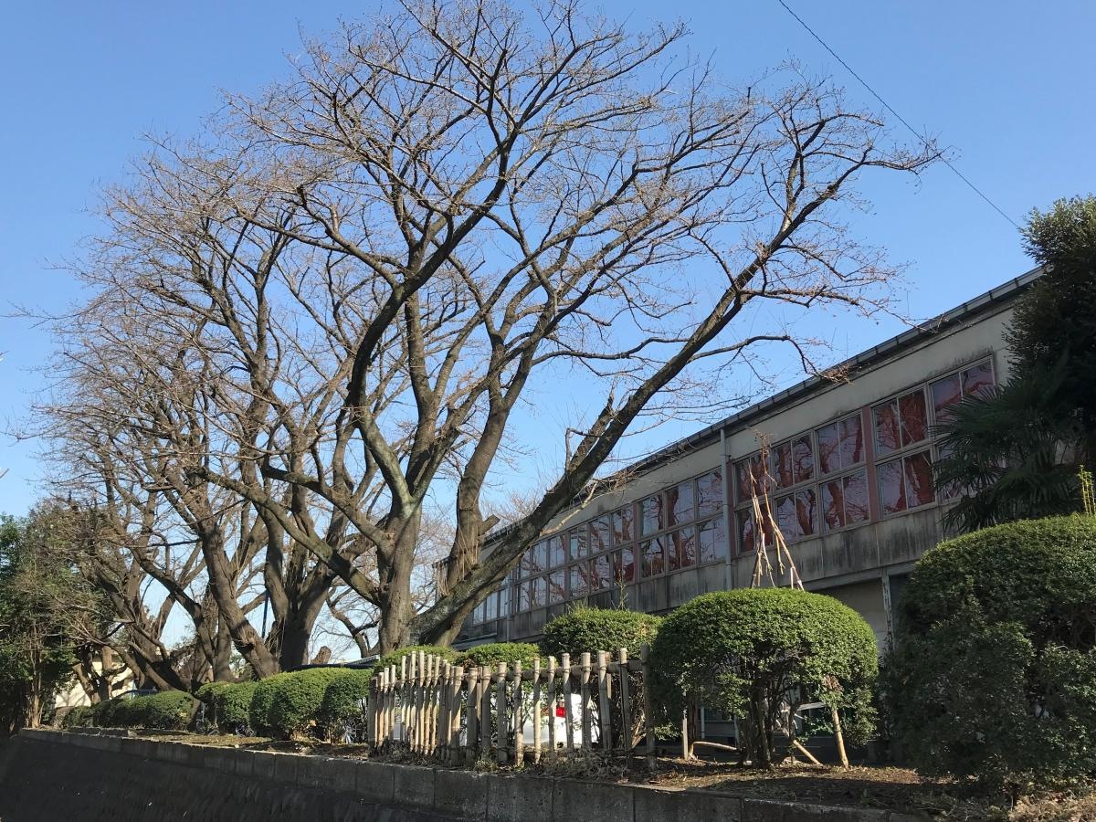 大和高校