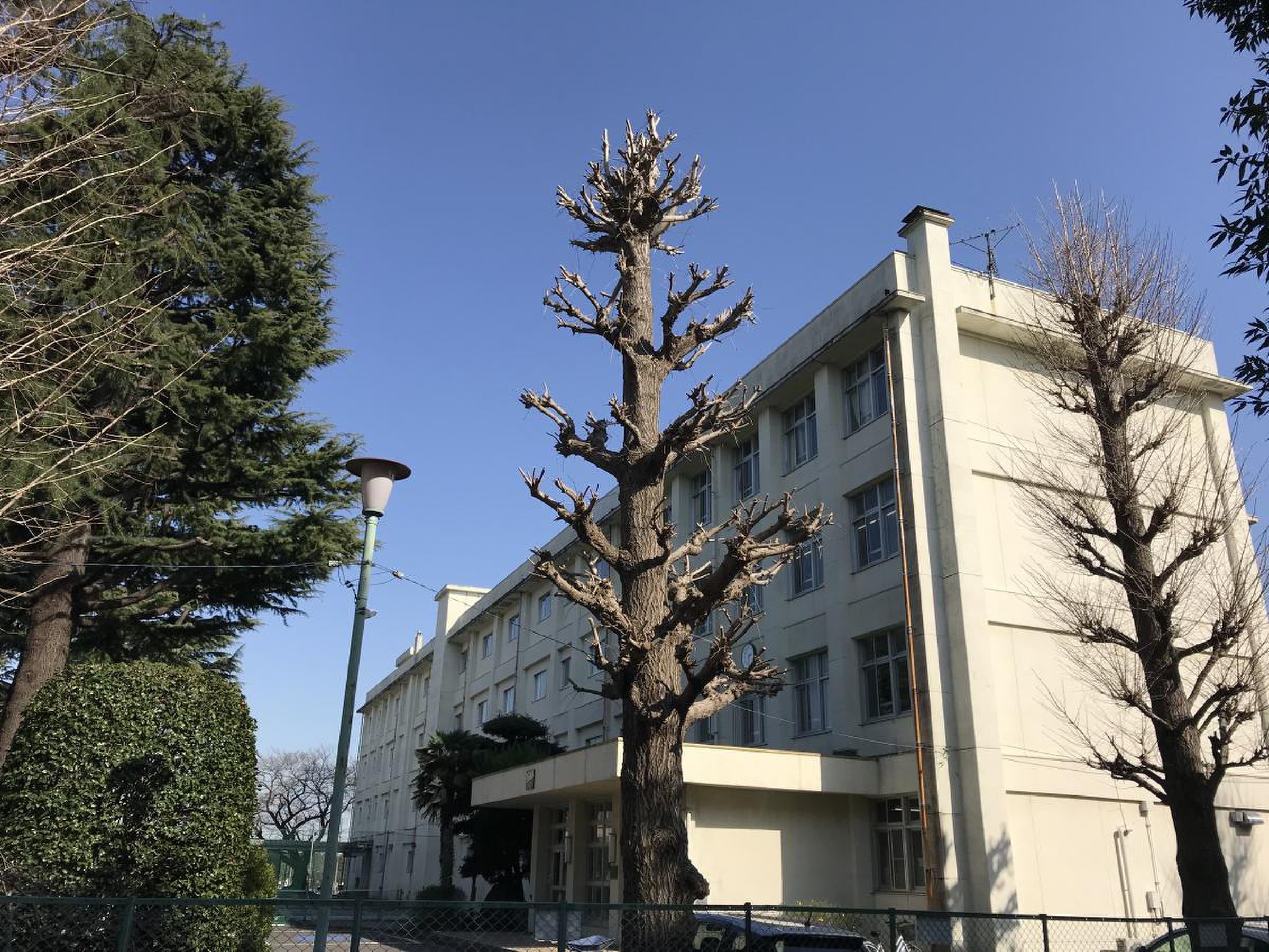 活動歴および当時の関連ビジュアル記録