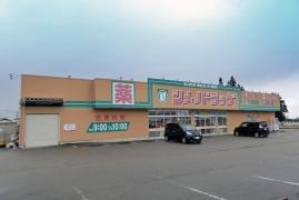 シメノドラッグ庄川店