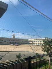 朝陽小学校