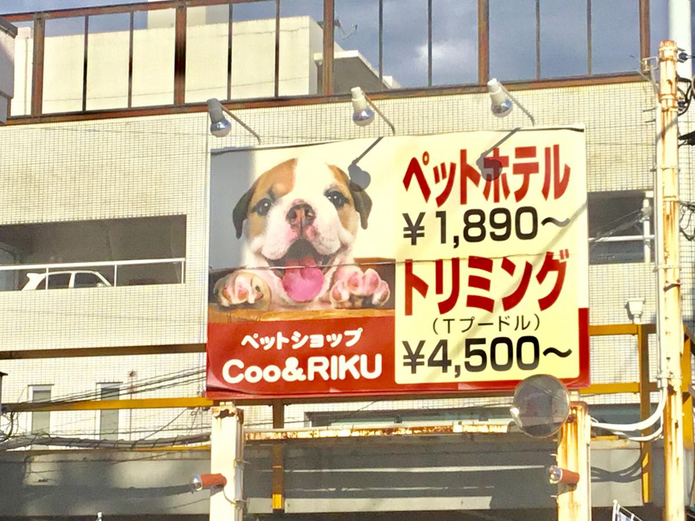 ペット ショップ 足立 区
