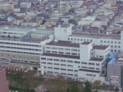 函館五稜郭病院