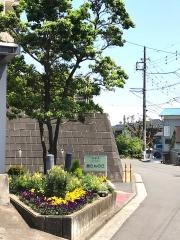 銀らんの丘