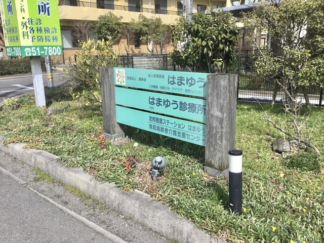 はまゆう