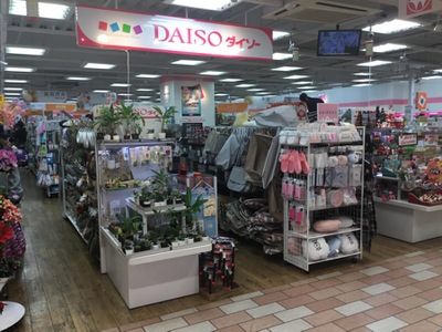 マーケットピア ザ ダイソー 上池台東急ストア店 大田区上池台