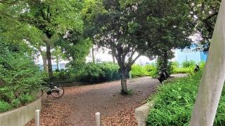 浅野町緑地
